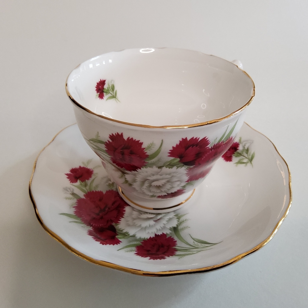 Royal Vale Red & White Carnation Tea Cup and Saucer